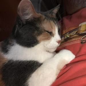 Meet your Posher, Tim